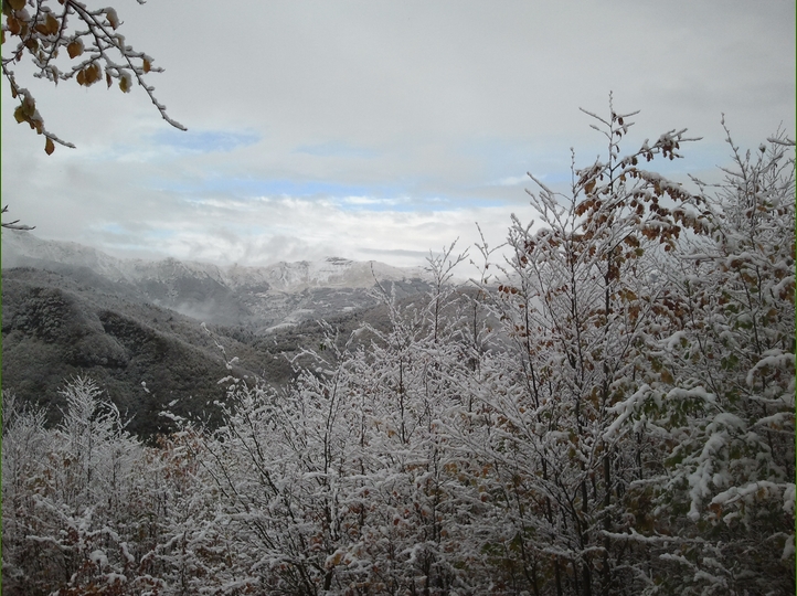 Piero, la neve, i funghi...