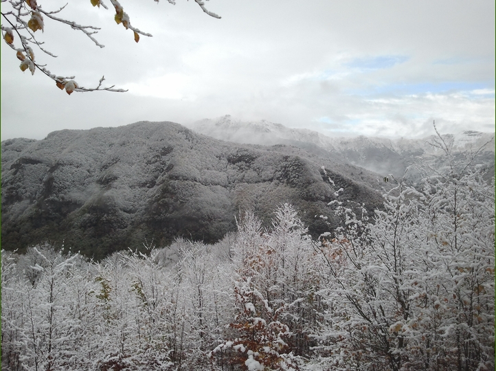 Piero, la neve, i funghi...